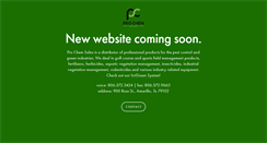 Desktop Screenshot of prochemsales.com